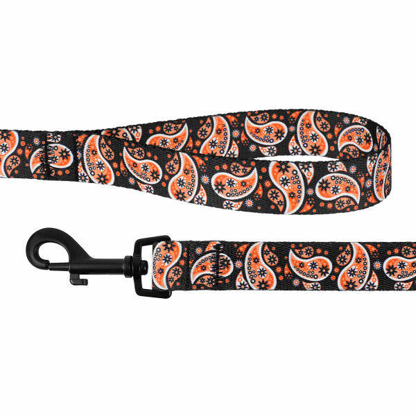 Повідець для собак BronzeDog Urban нейлоновий Огірки Чорний