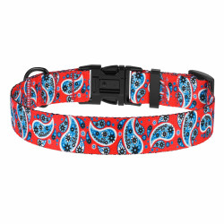 Нашийник для собак BronzeDog Urban нейлоновий Огірки Червоний