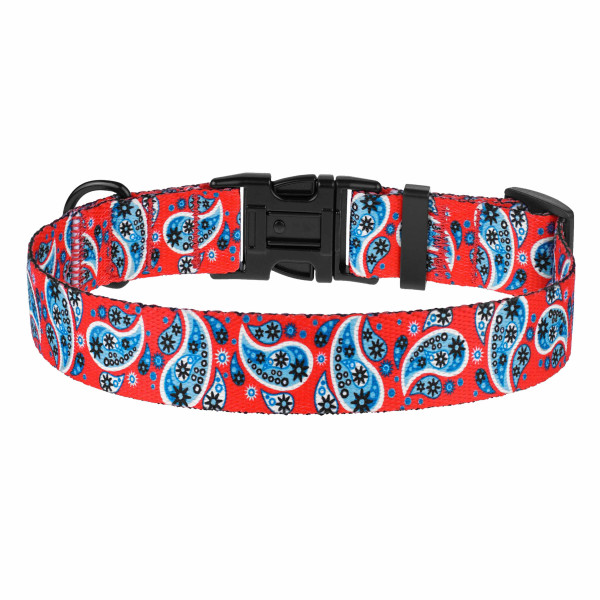 Нашийник для собак BronzeDog Urban нейлоновий Огірки Червоний