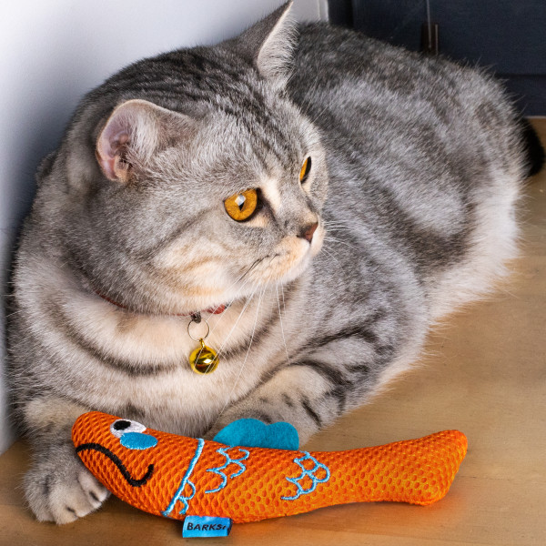 Іграшка для Котів Barksi дентал з дзвіночком Риба Помаранчева