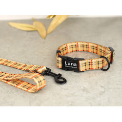 Нашийник для собак BronzeDog Urban нейлоновий Клітинка Помаранчовий
