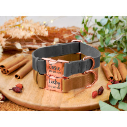 Нашийник для собак шкіряний BronzeDog Crazy золотий фаст. Гірчиця