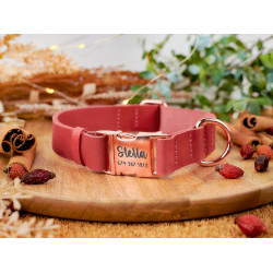 Нашийник для собак шкіряний BronzeDog Crazy золотий фаст. Рожевий