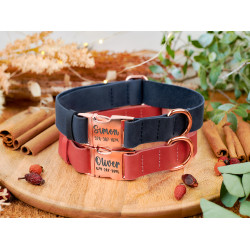 Нашийник для собак шкіряний BronzeDog Crazy золотий фаст. Рожевий