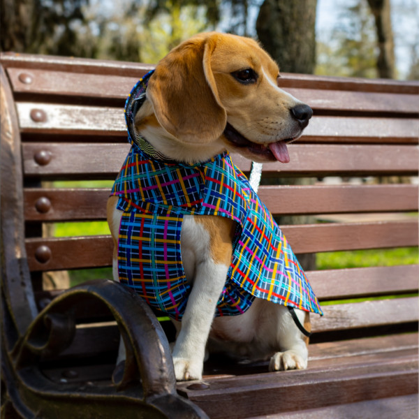 Дощовик для собак Barksi Textile з капюшоном Клітинка