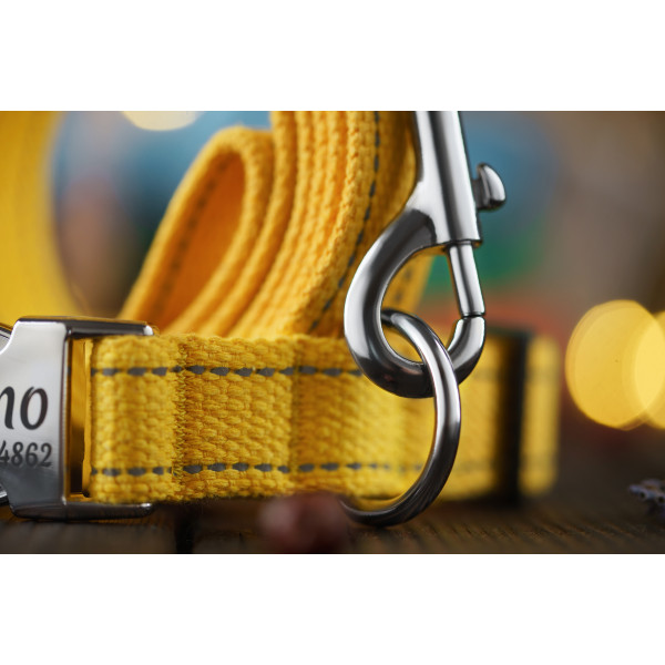 Повідець для собак BronzeDog Брезент з карабіном хром Жовтий