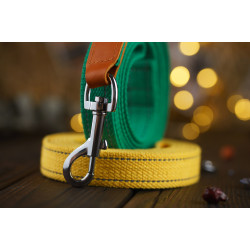 Повідець для собак BronzeDog Брезент з карабіном хром Жовтий