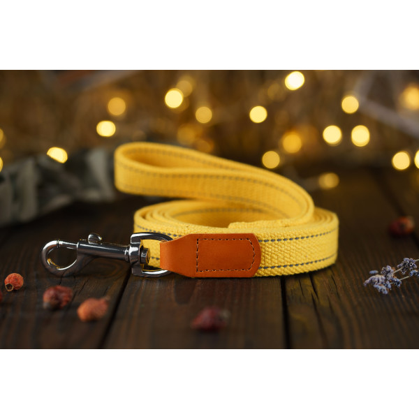 Повідець для собак BronzeDog Брезент з карабіном хром Жовтий