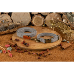 Повідець для собак BronzeDog Брезент з карабіном Antiq Світло-Сірий