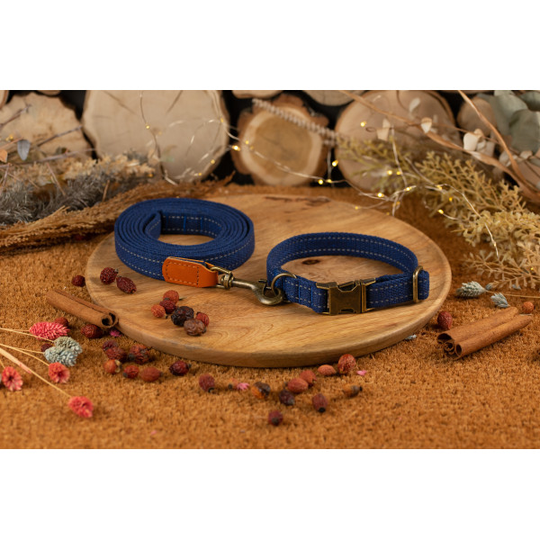 Повідець для собак BronzeDog Брезент з карабіном Antiq Синій