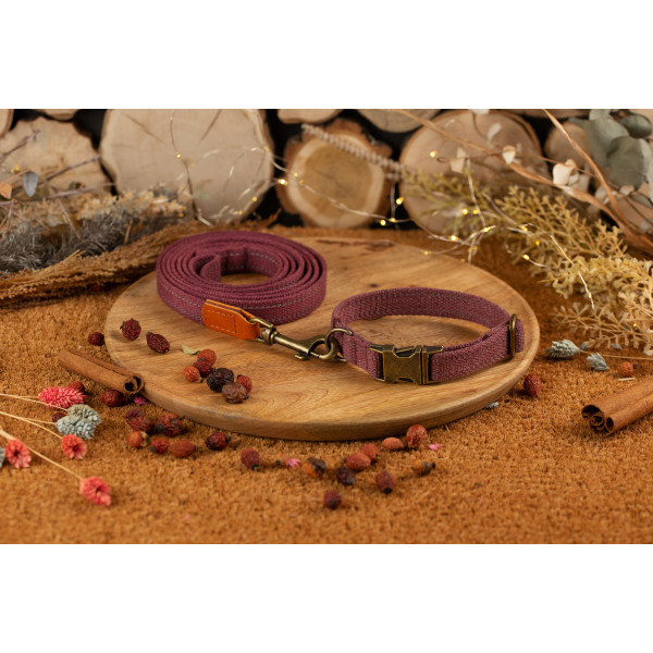 Повідець для собак BronzeDog Брезент з карабіном Antiq Черрі