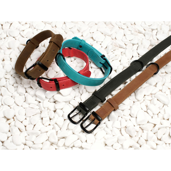 Нашийник для собак BronzeDog Crazy шкіряний плоский Бежевий