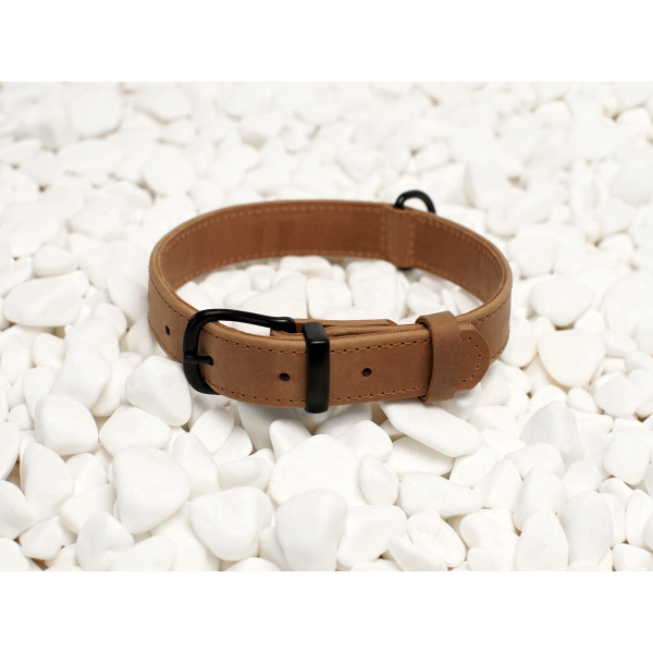 Нашийник для собак BronzeDog Crazy шкіряний плоский Бежевий