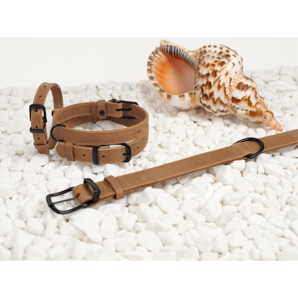 Нашийник для собак BronzeDog Crazy шкіряний плоский Бежевий