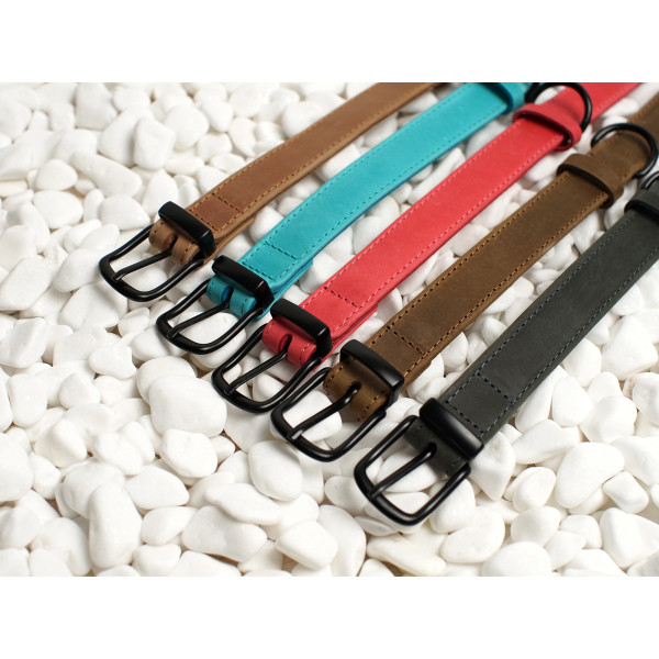 Нашийник для собак BronzeDog Crazy шкіряний плоский Олива