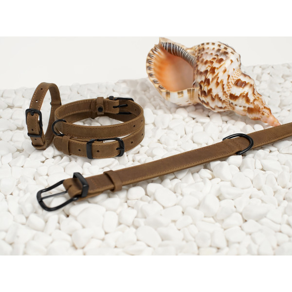 Нашийник для собак BronzeDog Crazy шкіряний плоский Олива