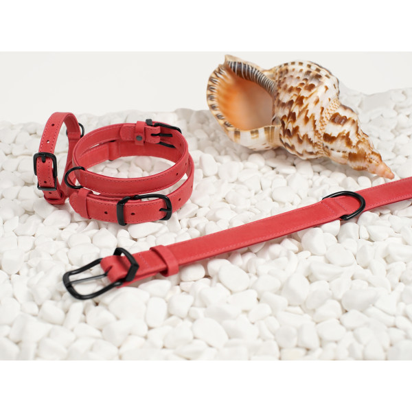 Нашийник для собак BronzeDog Crazy шкіряний плоский Рожевий