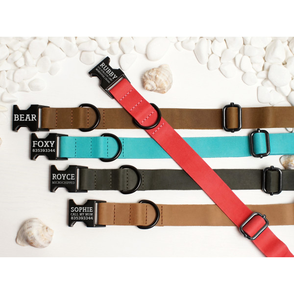 Нашийник для собак BronzeDog Crazy шкіряний плоский фастекс Рожевий