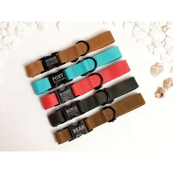 Нашийник для собак BronzeDog Crazy шкіряний плоский фастекс Бежевий