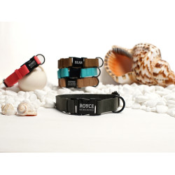 Нашийник для собак BronzeDog Crazy шкіряний плоский фастекс Графіт