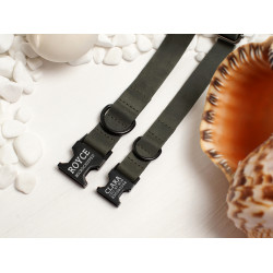 Нашийник для собак BronzeDog Crazy шкіряний плоский фастекс Графіт