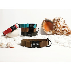 Нашийник для собак BronzeDog Crazy шкіряний плоский фастекс Олива