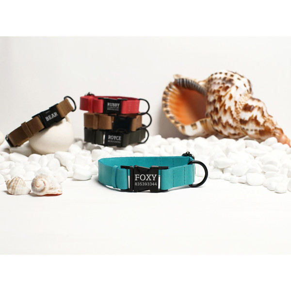 Нашийник для собак BronzeDog Crazy шкіряний плоский фастекс Ментол