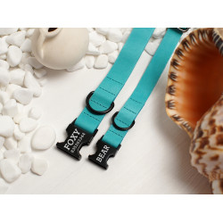 Нашийник для собак BronzeDog Crazy шкіряний плоский фастекс Ментол