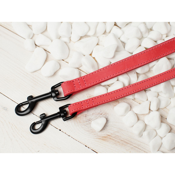 Повідець для собак BronzeDog Crazy шкіряний плоский Рожевий