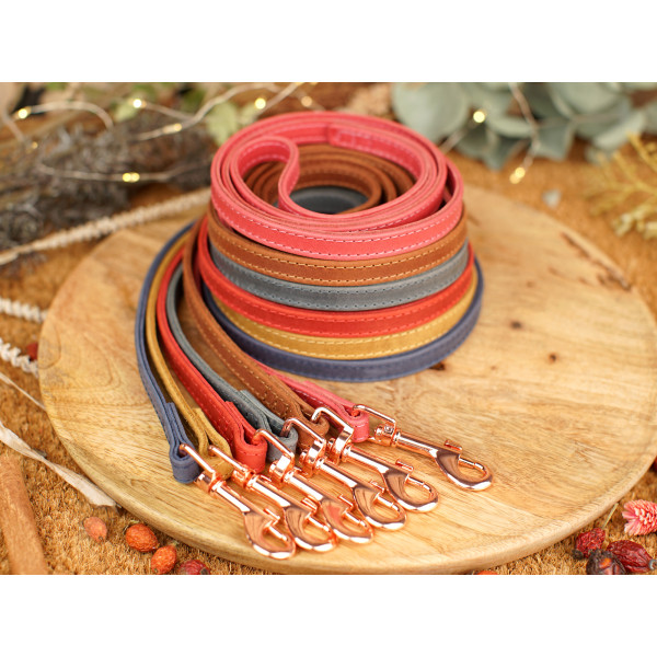 Повідець для собак BronzeDog Crazy шкіряний рожеве золото Денім