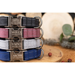 Нашийник для собак Bronzedog Сotton Silver Antiq Черрі