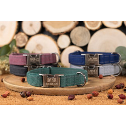 Нашийник для собак Bronzedog Сotton Silver Antiq Зелений