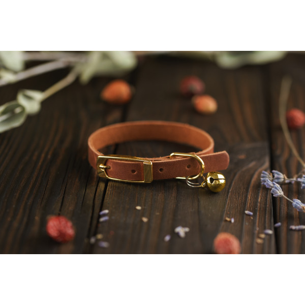 Нашийник для Котів BronzeDog Crazy шкіряний з золотим дзвіночком Коньяк