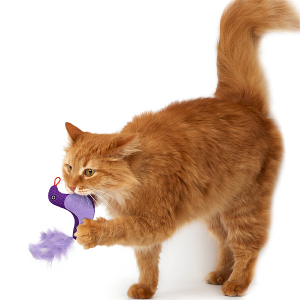 Іграшка для Котів Barksi Пташка з дзвіночком та пір'ям 9 х 8 см Фіолетова