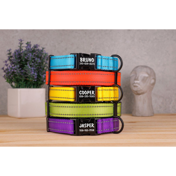 Нашийник для собак Bronzedog Active світловідбиваючий Кораловий