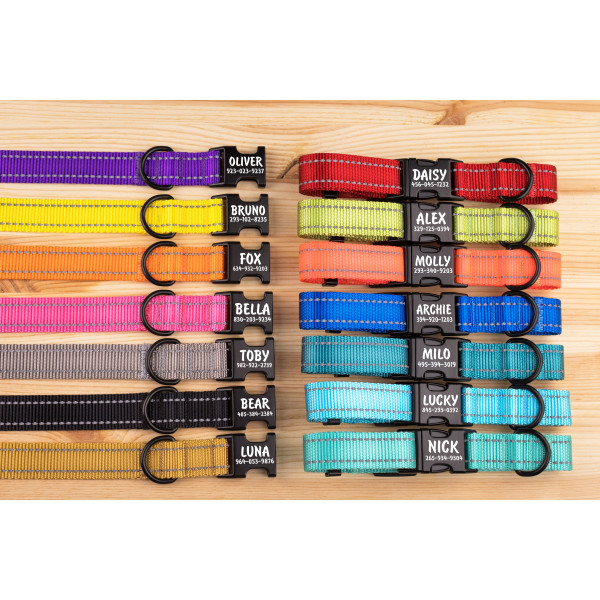 Нашийник для собак Bronzedog Active світловідбиваючий Рожевий