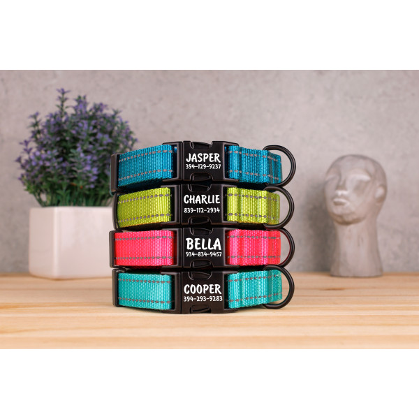 Нашийник для собак Bronzedog Active світловідбиваючий Салатовий