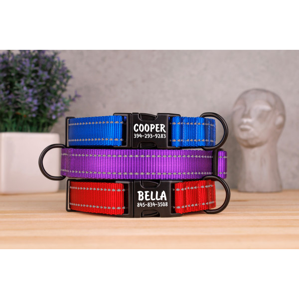 Нашийник для собак Bronzedog Active світловідбиваючий Фіолетовий