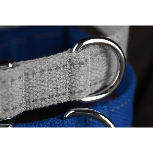 Нашийник для собак Bronzedog Сotton хром Блакитний