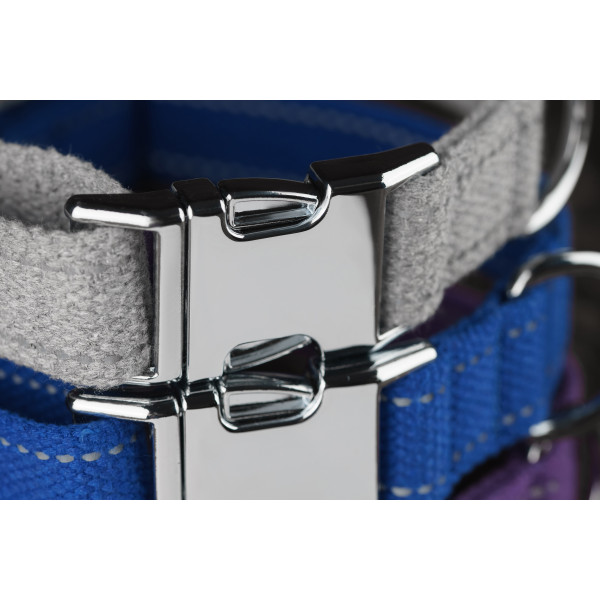 Нашийник для собак Bronzedog Сotton хром Волошковий