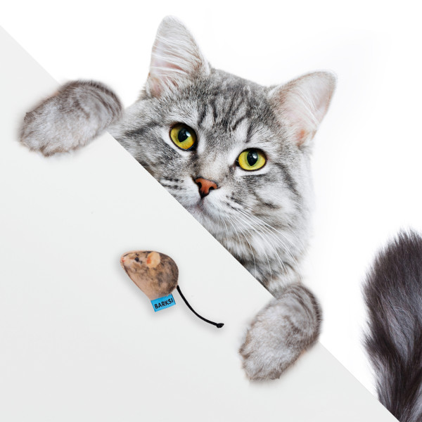 Іграшка для Котів Barksi Мала Мишка з дзвіночком