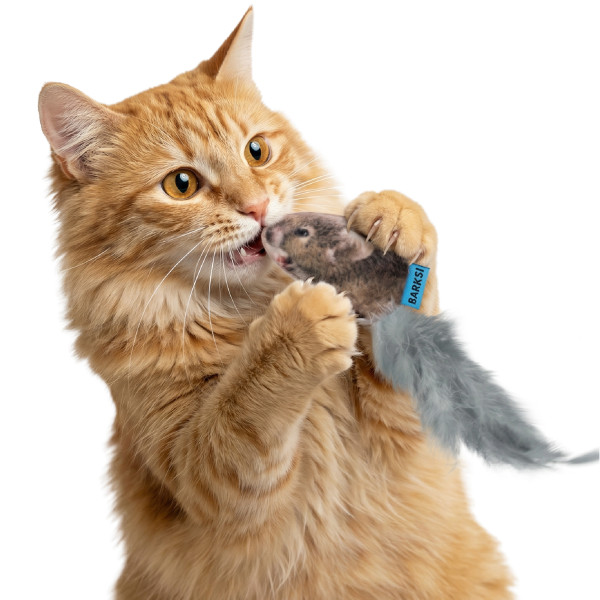 Іграшка для Котів Barksi Полівка з дзвіночком та пір'ям