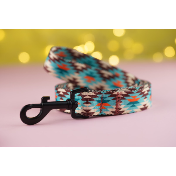 Повідець для собак BronzeDog Urban нейлоновий Зелений