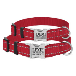 Нашийник для Собак BronzeDog Active Нейлоновий зі Світловідбиттям та Металевою Пряжкою Червоний