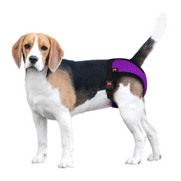 Труси гігієнічні Bronzedog Mesh регульовані 3D сітка Фіолетові