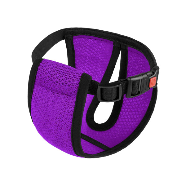 Труси гігієнічні Bronzedog Mesh регульовані 3D сітка Фіолетові