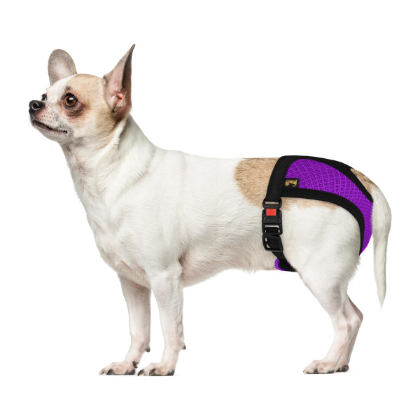 Труси гігієнічні Bronzedog Mesh регульовані 3D сітка Фіолетові